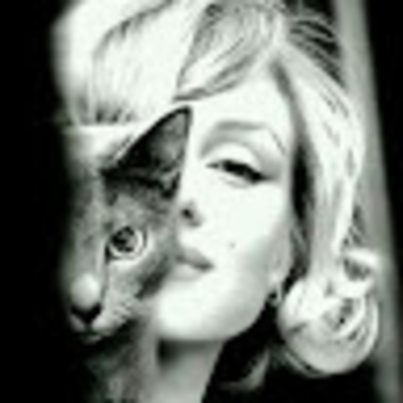 Meet your Posher, Ebony - Picture 1 of 1